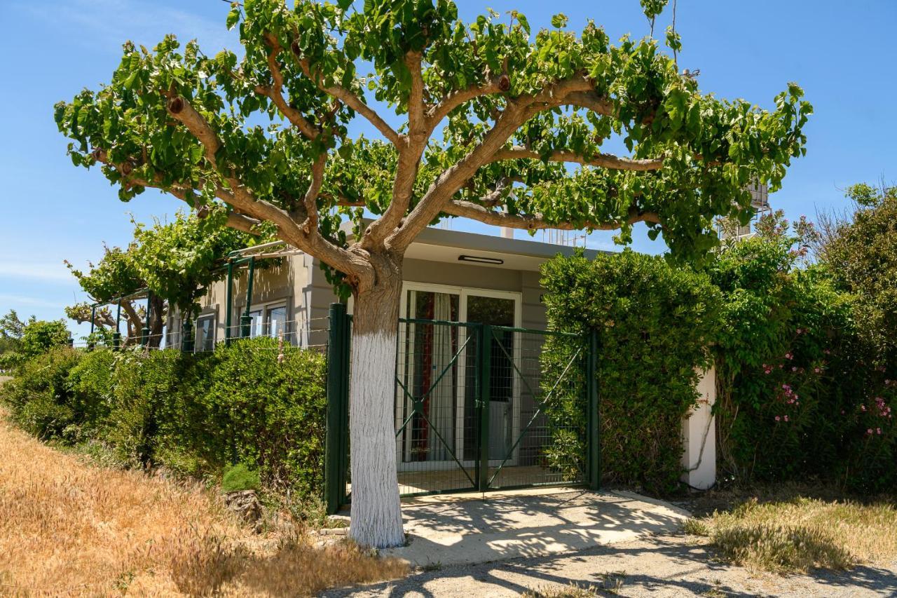 Petrakis Afrathias Garden House Villa Каламаки Екстериор снимка